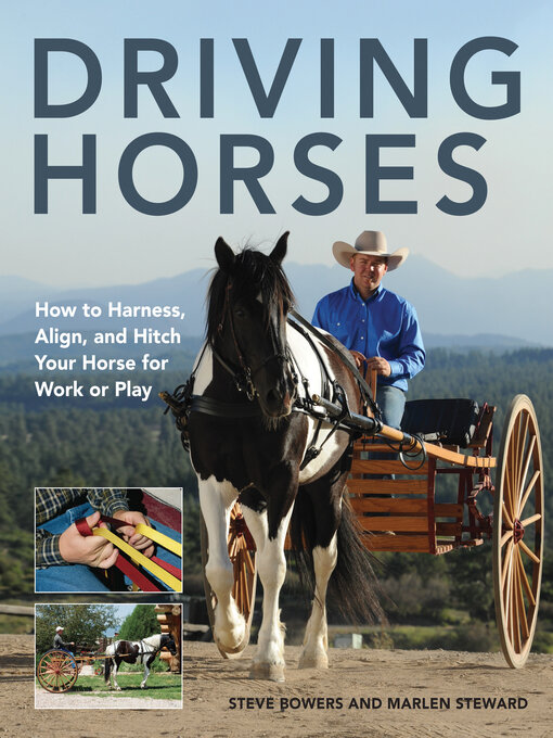 Cover image for Driving Horses